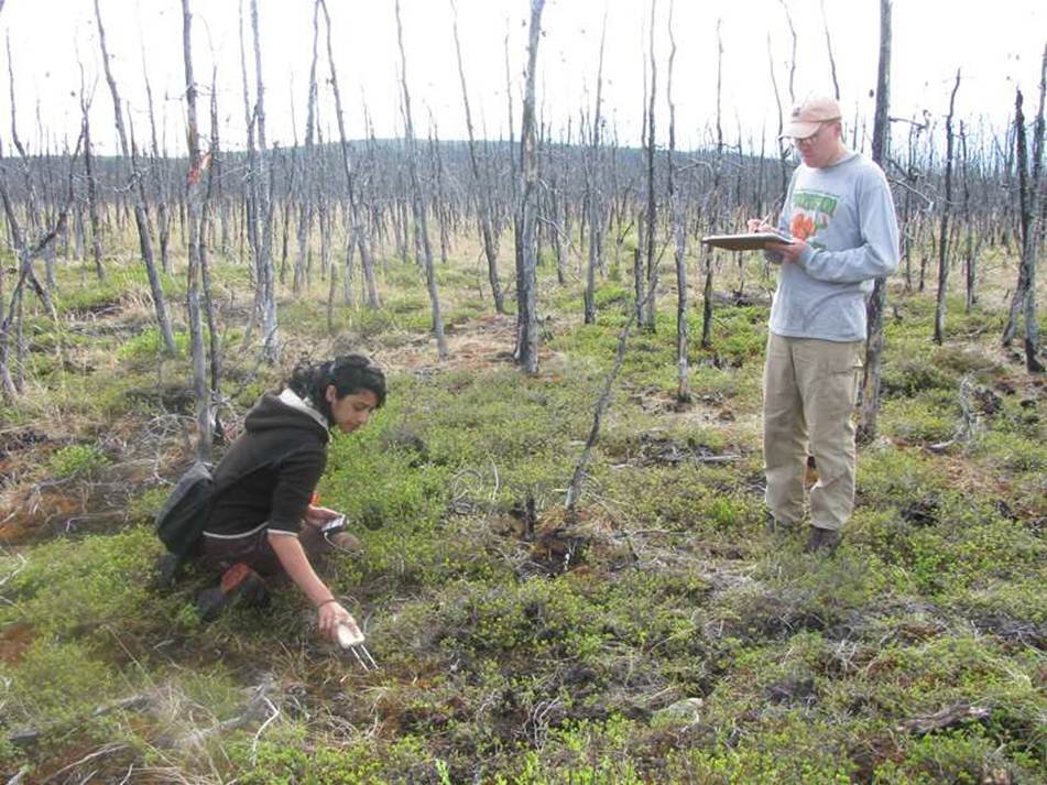 Mapping and Monitoring Soil Moisture in Forested Landscapes ...