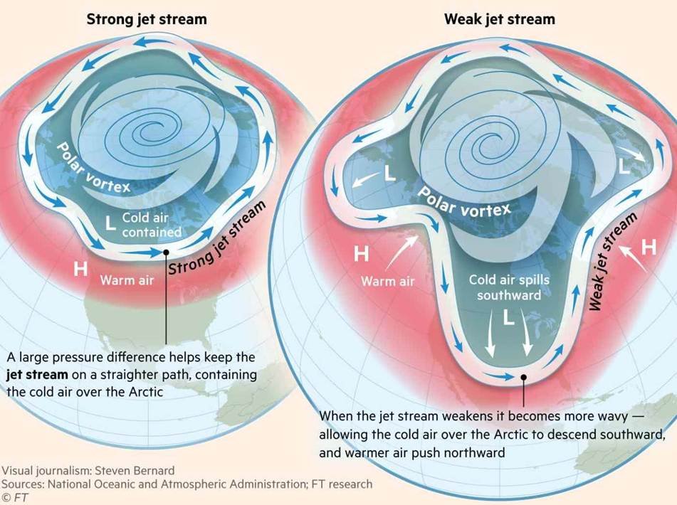 Introduction to Forest Carbon | Oklahoma State University