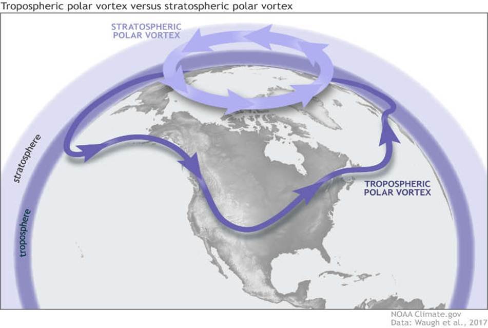 Global patterns and climatic controls of forest structural ...