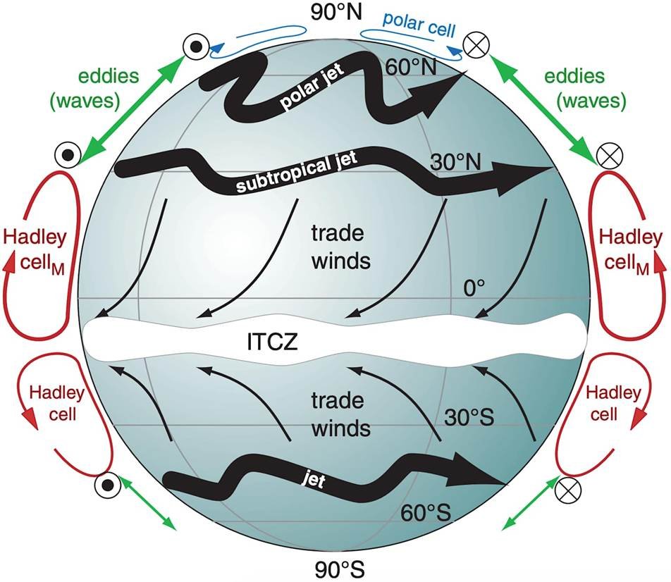 How to Use of a Demat Account and Operate It - Pocketful