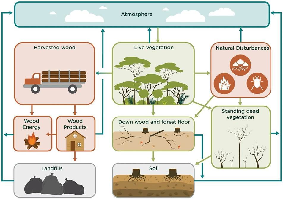Flight operations at Delhi's Indira Gandhi International ...